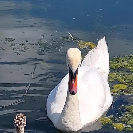 Casa Carlo Pensiune 3*
