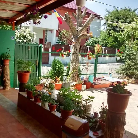 Pensiune Casa Carlo 3*